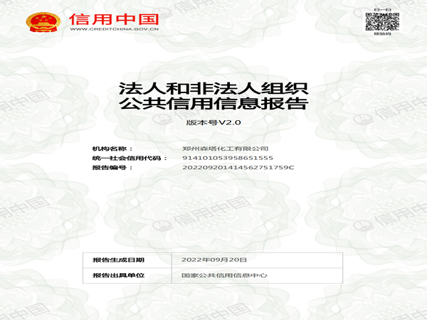 信用中國報(bào)告